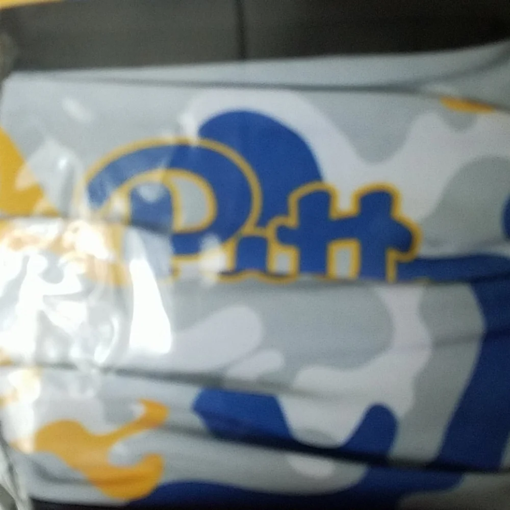 Pitt Panthers 2 pack masks for kids. New